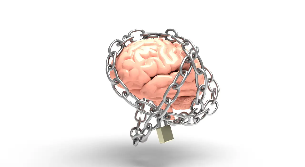 Mind Prison