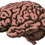 Cerebral Palsy Life Expectancy