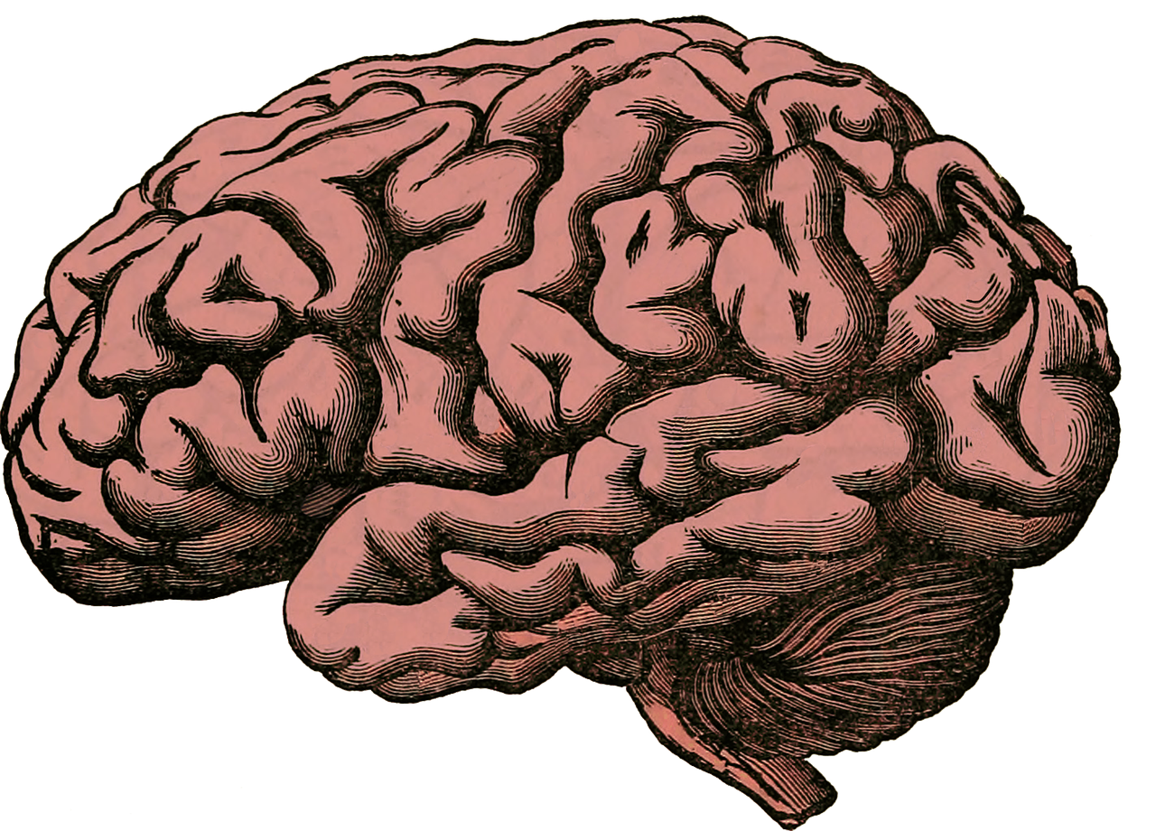Cerebral Palsy Life Expectancy