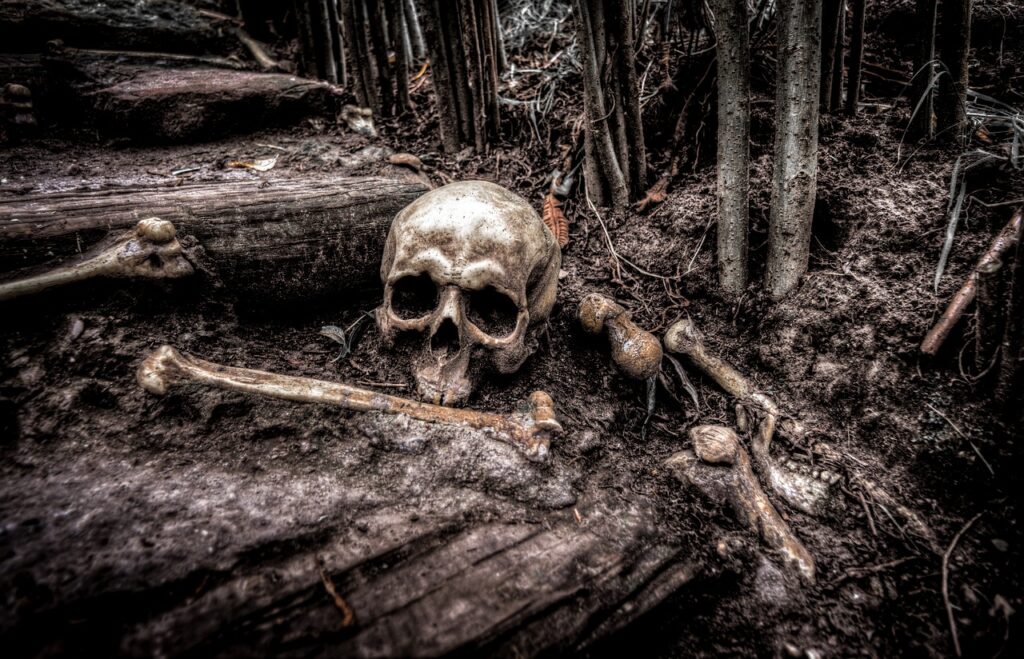 Human Decomposition Smell