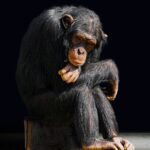 Unhelpful Thinking Styles