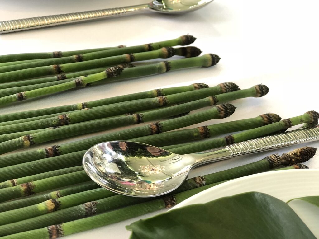 Bamboo Utensils