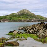 Irish Sea Moss Gel
