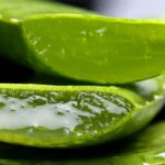 Aloe Vesta Cleansing Foam