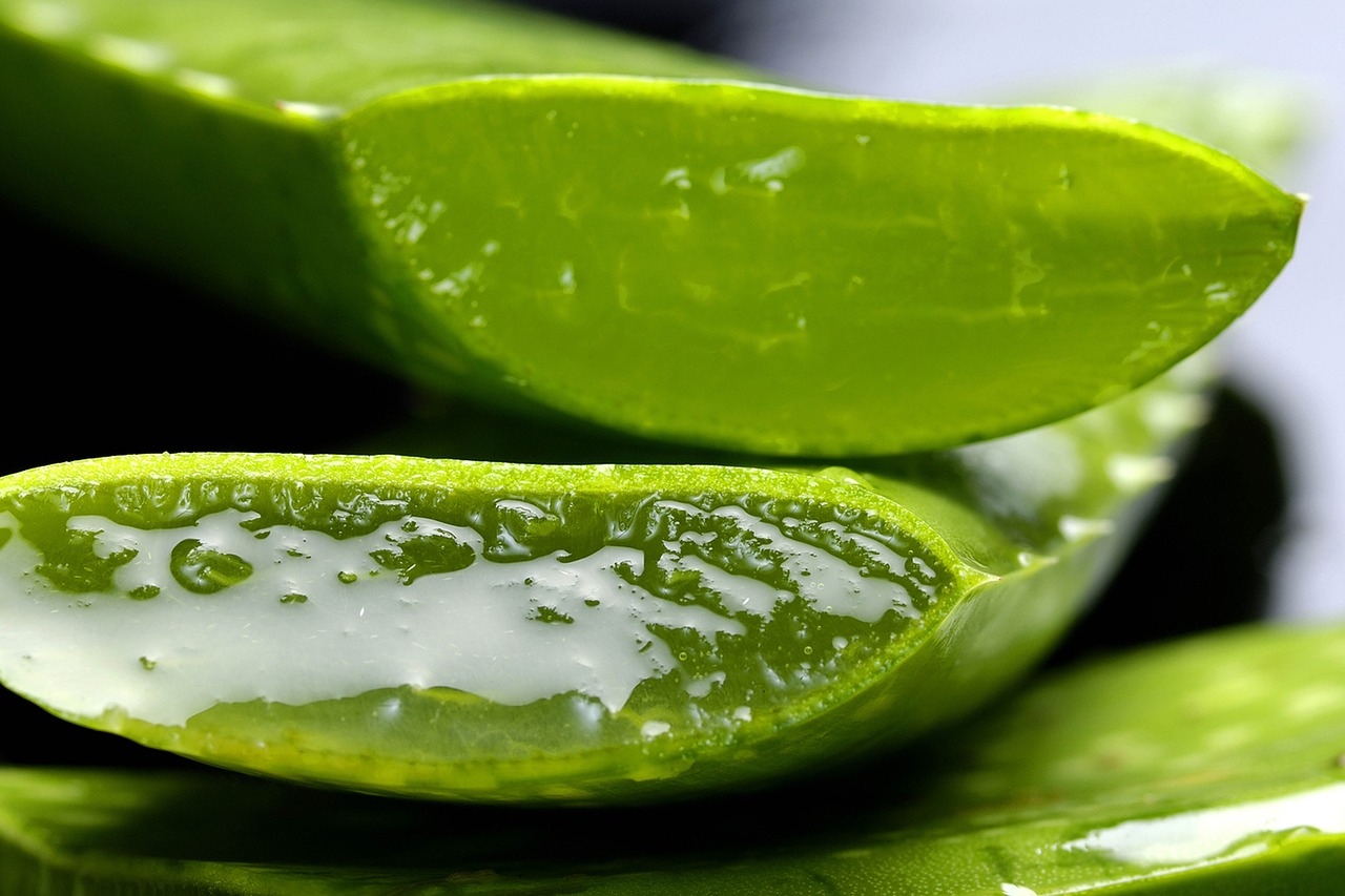 Aloe Vesta Cleansing Foam