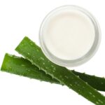 Aloe Vesta Protective Ointment