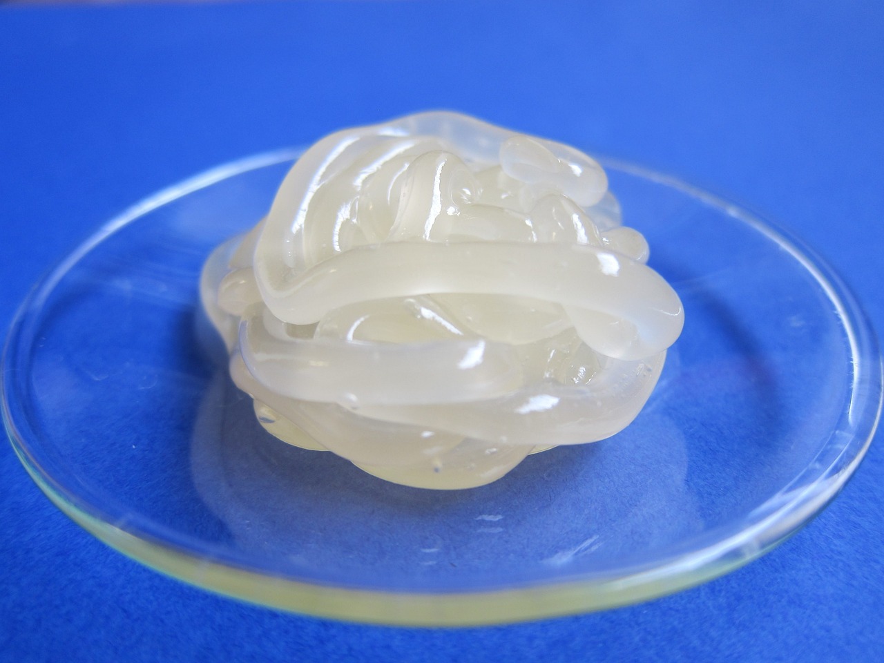 Silvasorb Gel Review